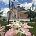 Горячая линия «Милосердия»